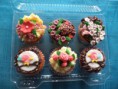 CUPCAKES PAJARITOS